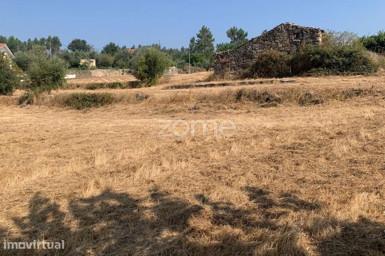 Terreno Urbano - Grande imagem: 5/11