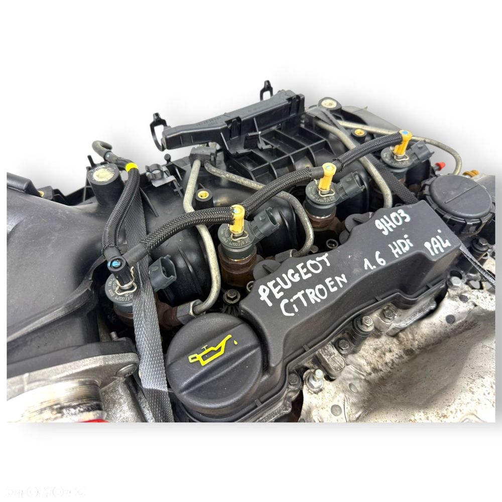 SILNIK 9HT 9H03 Citroen Berlingo Peugeot Partner III 1.6 HDI 75KM 149 066km - 11