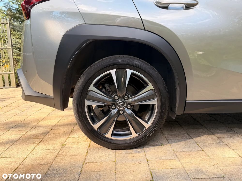 Lexus UX 250h GPF Business 2WD - 30
