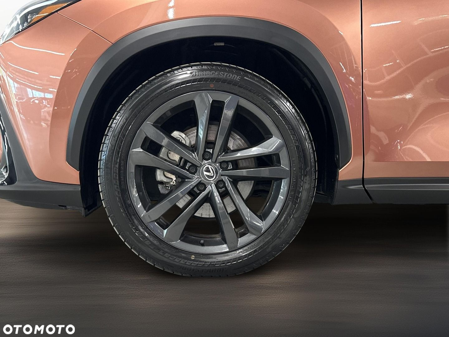Lexus NX - 10