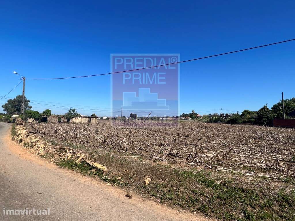 EXCELENTE TERRENO PARA CONSTRUÇÃO EM LOUREIRO - Grande imagem: 3/3
