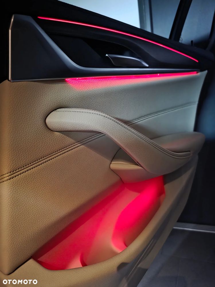 BMW Seria 5 530d Luxury Line - 19