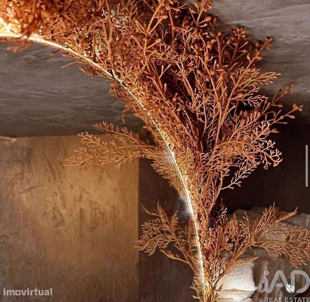 Loja / Estabelecimento Comercial T2 em Santo António de 50,00 m2 - Grande imagem: 4/17