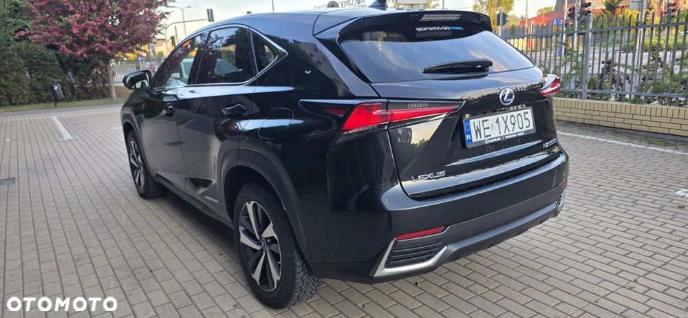 Lexus NX 300h Omotenashi AWD - 3