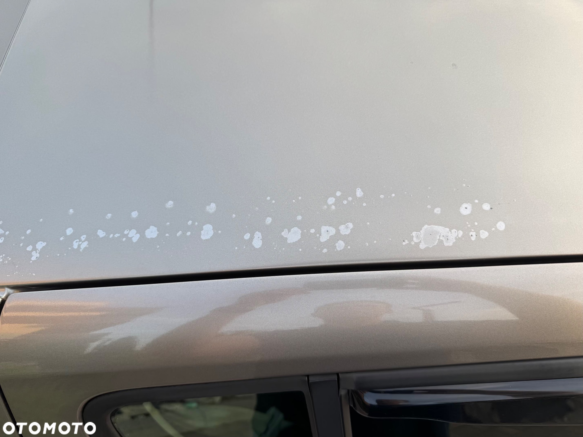 Renault Clio - 11