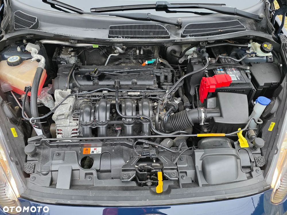 Ford Fiesta 1.25 Trend EU5 - 24