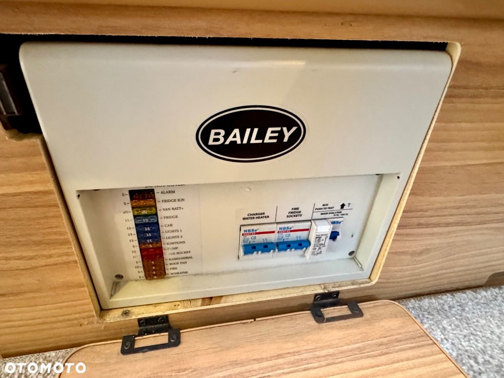 Bailey - 17