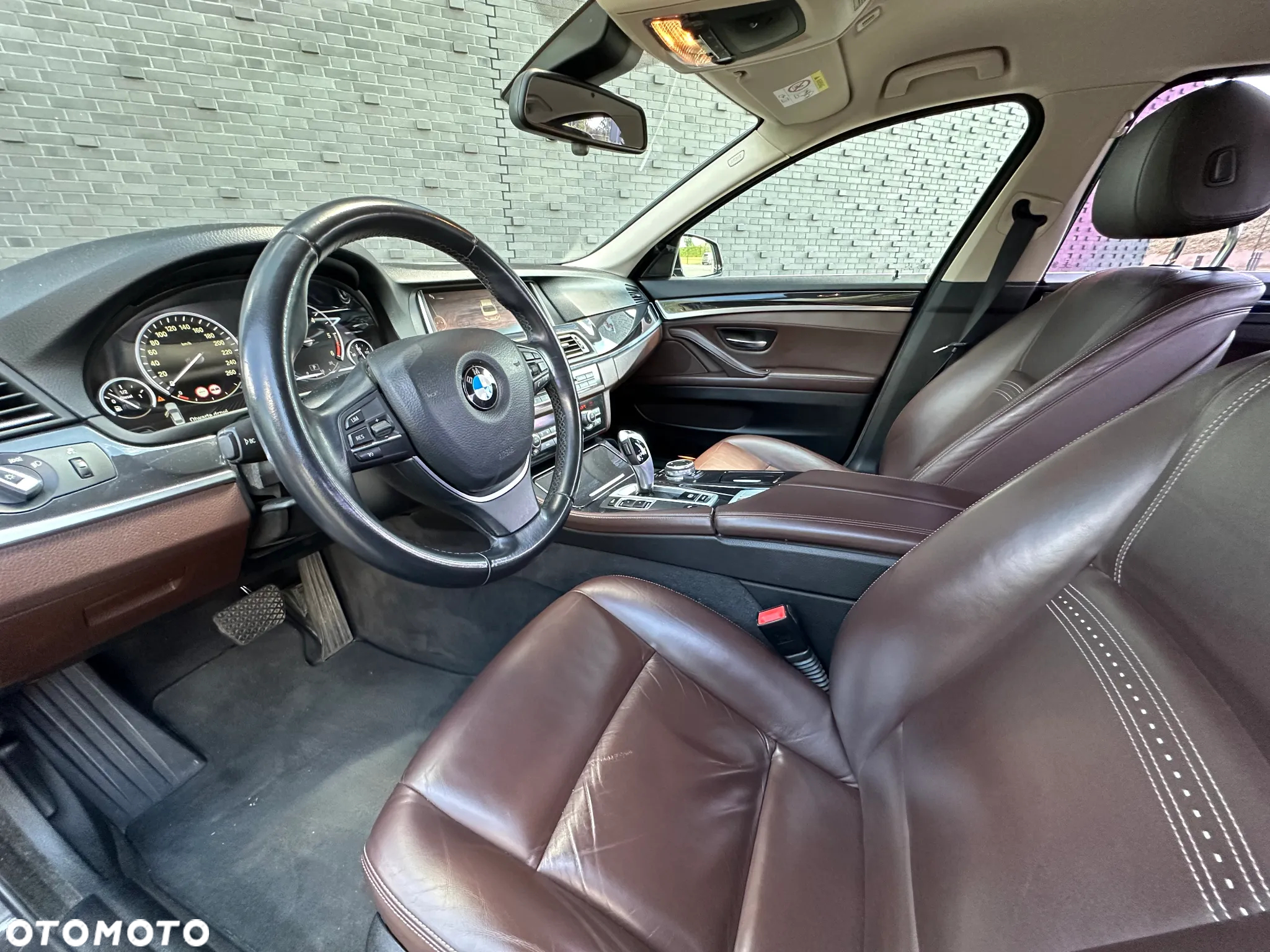 BMW Seria 5 520d Luxury Line - 19