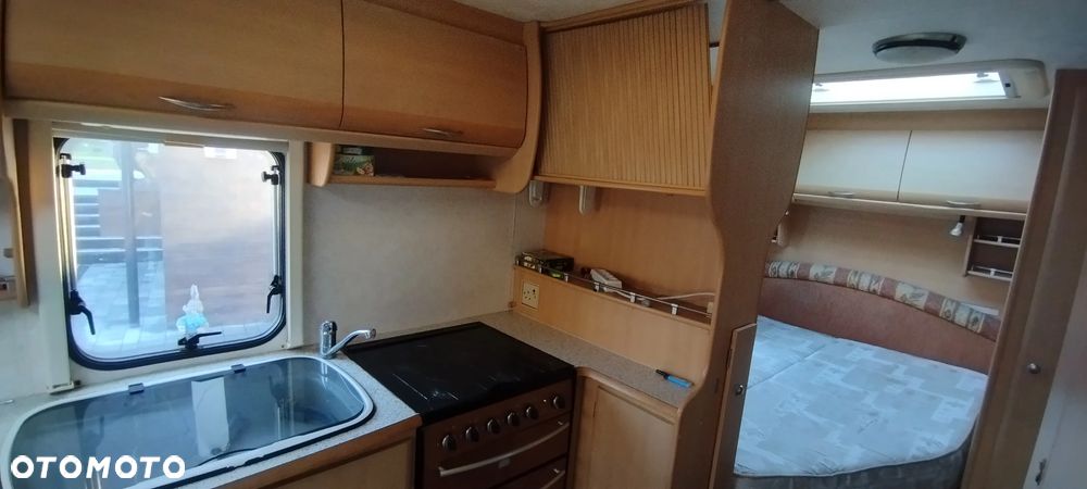 Coachman Amara - 10