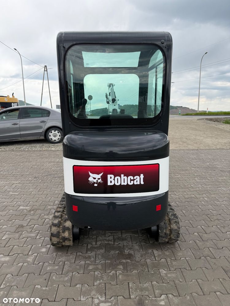 Bobcat - 2