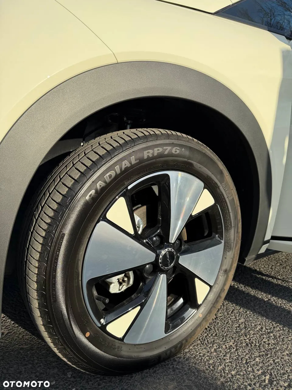 BYD Dolphin Active - 21