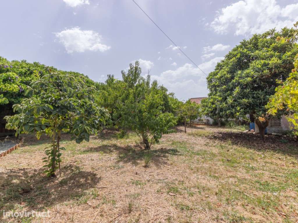 Moradia Isolada T3 - Sobreda - Oportunidade - Grande imagem: 4/24