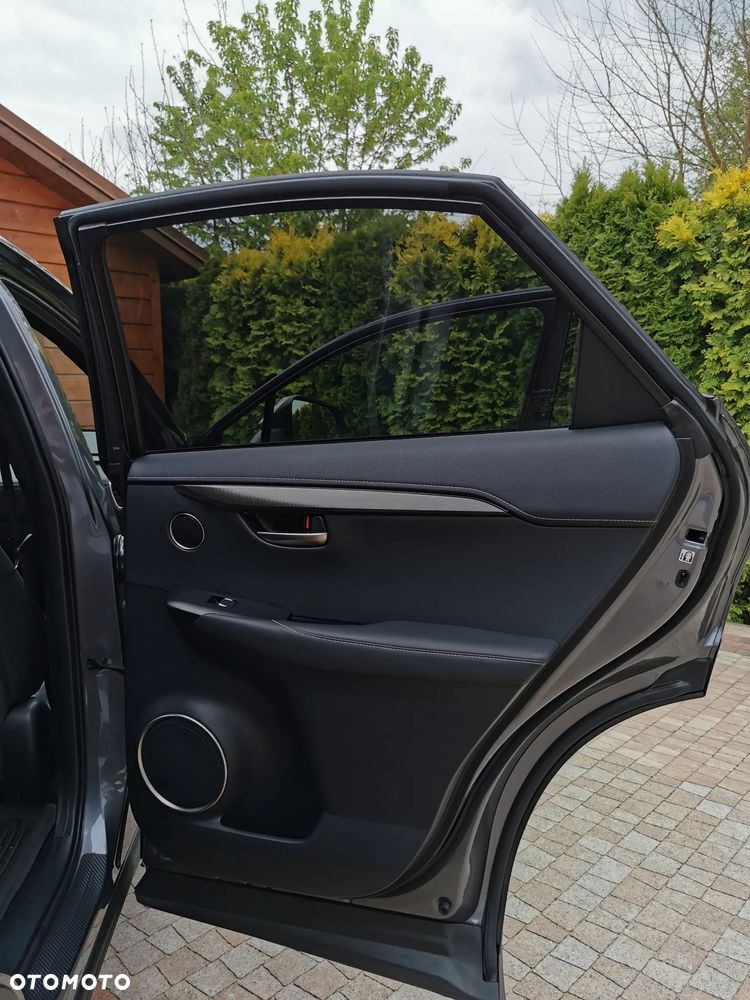 Lexus NX 300 AWD - 22