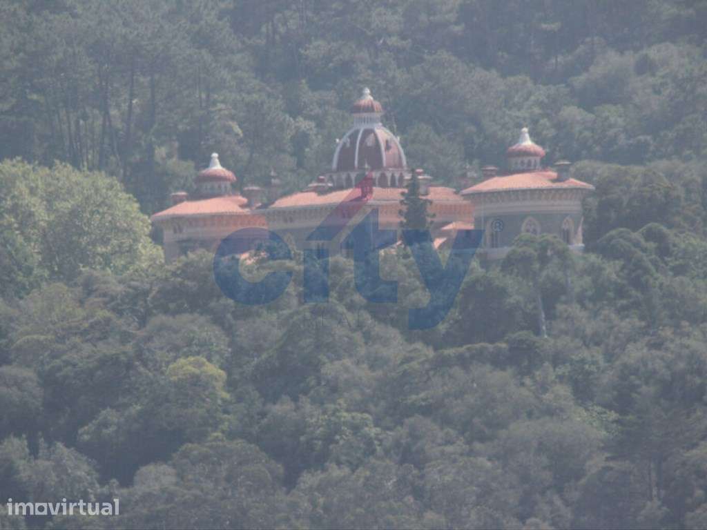 Terreno 12.000m2 em Nafarros, Sintra - Grande imagem: 2/15