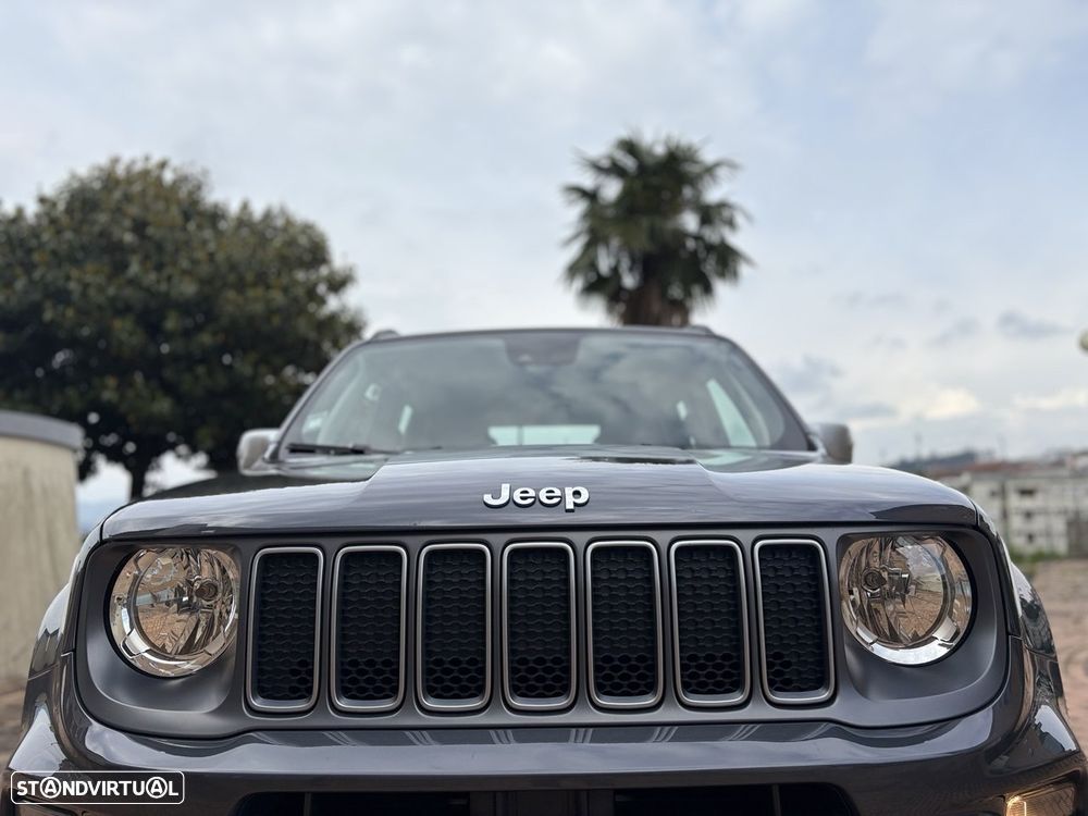 Jeep Renegade 1.3 TG Limited - 6