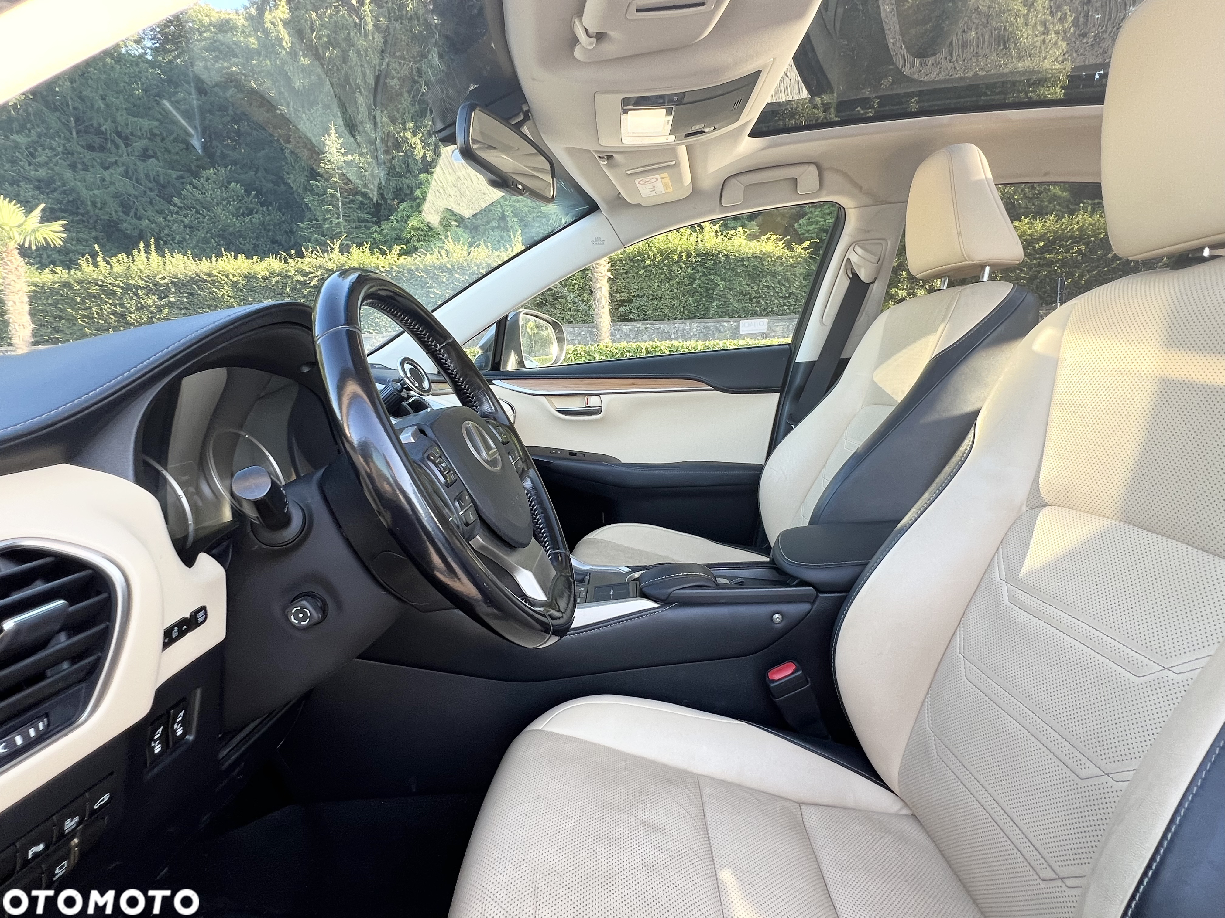 Lexus NX 300h Prestige AWD - 28