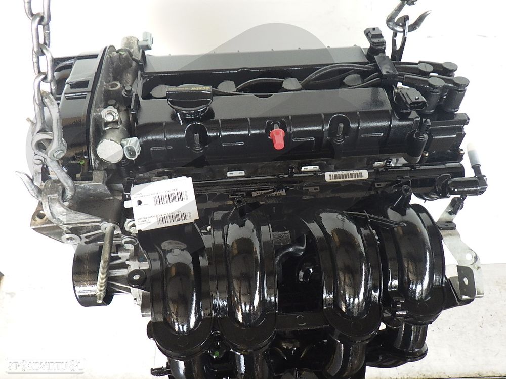 Motor Ford Focus 1.6 16V 77KW Ref: IQDB - 2