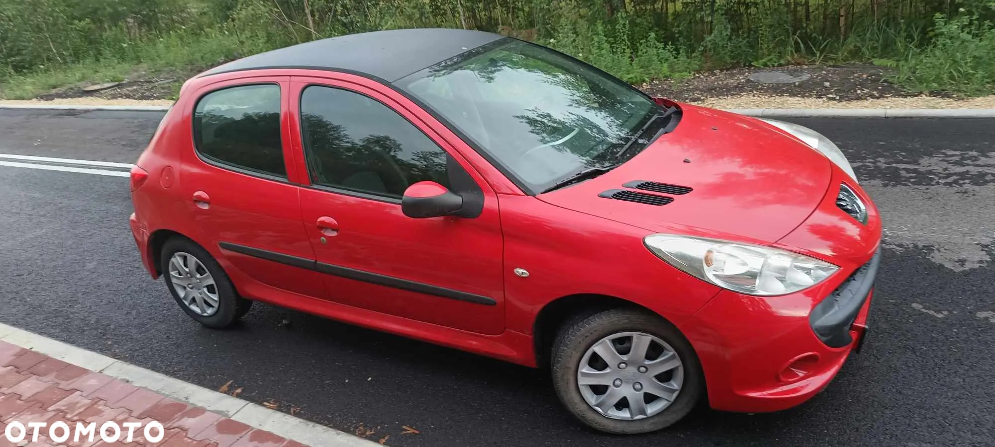 Peugeot 206 plus - 3