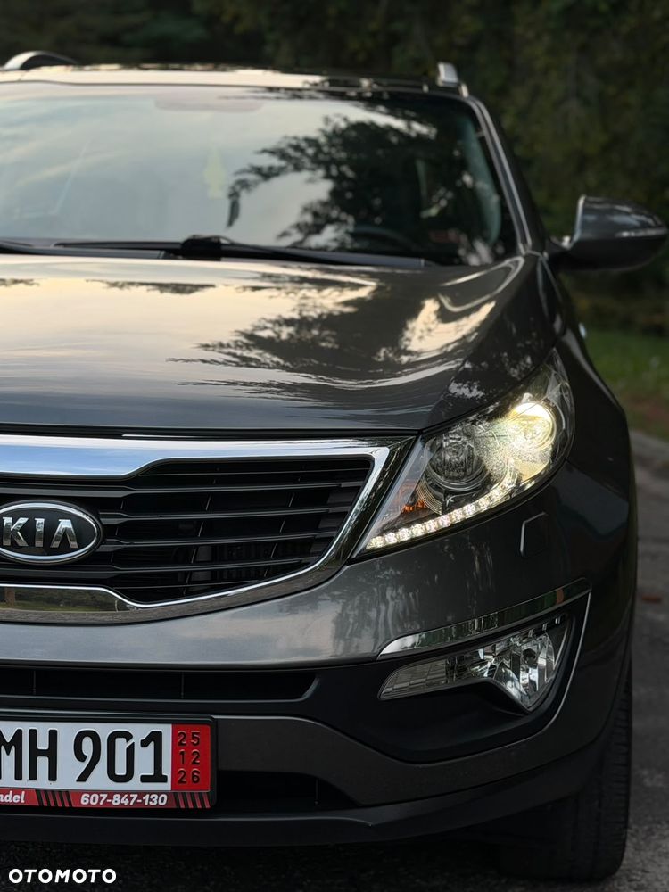 Kia Sportage - 14
