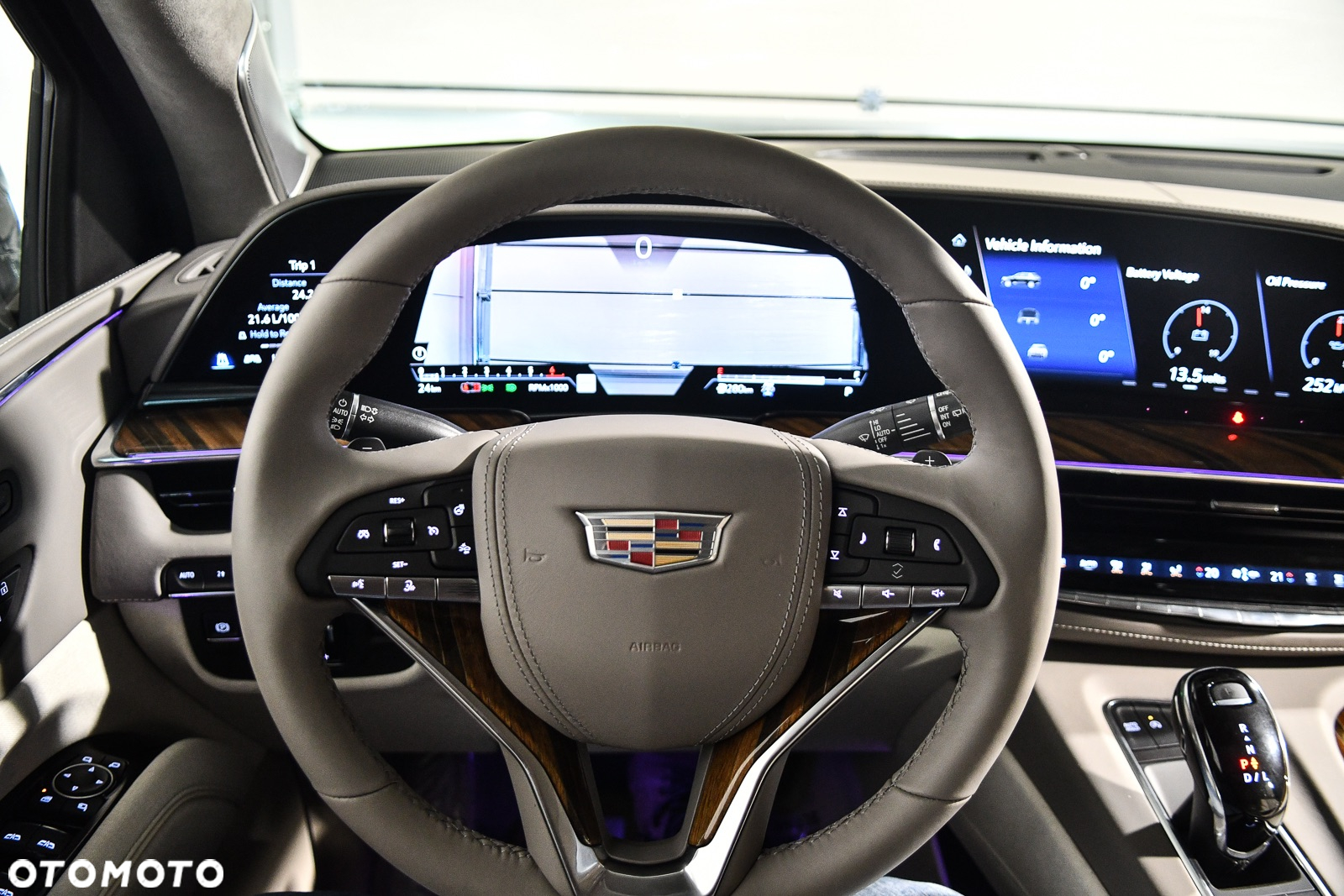 Cadillac Escalade - 39