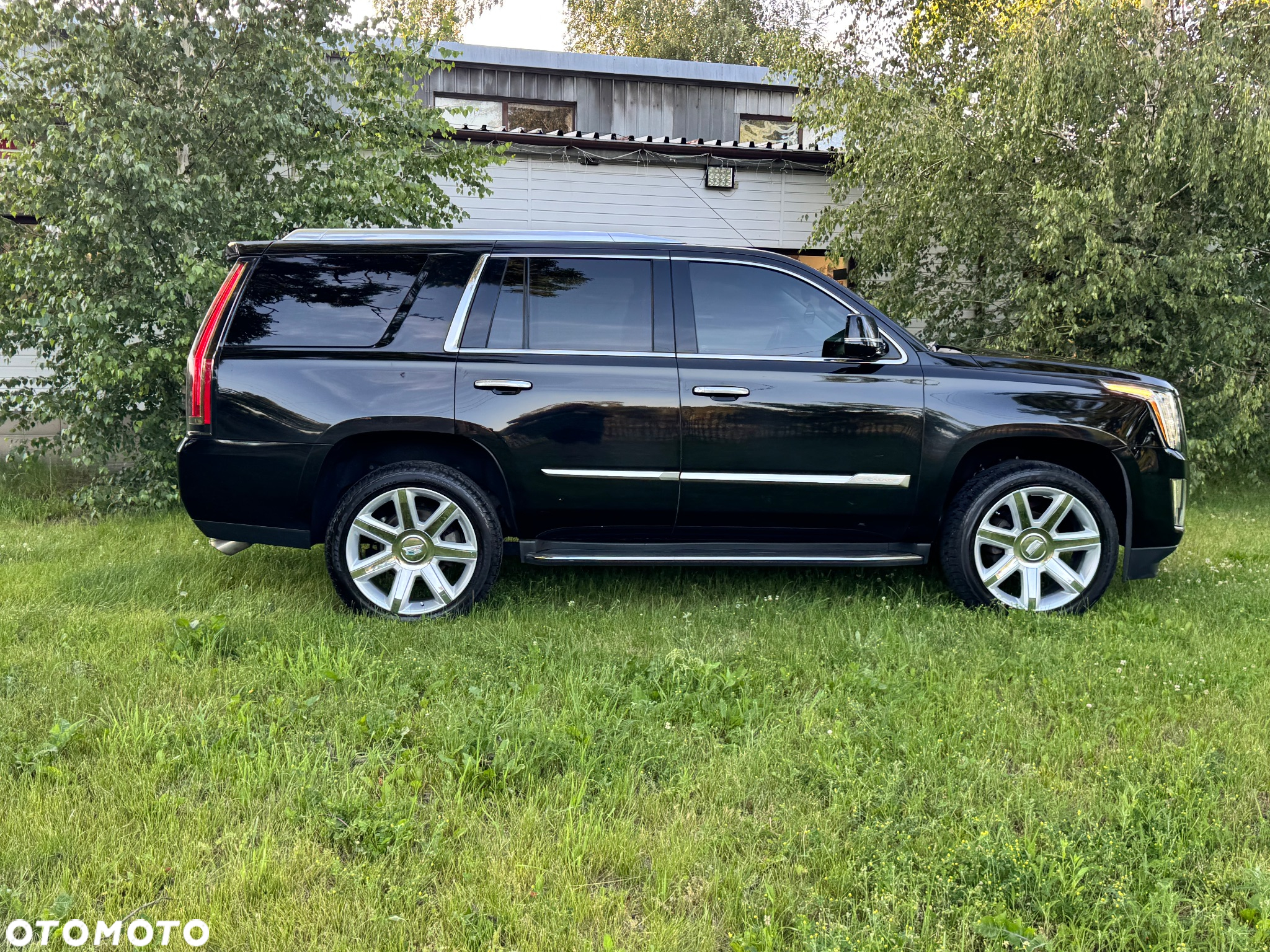 Cadillac Escalade 6.2 V8 AWD AT Premium - 6