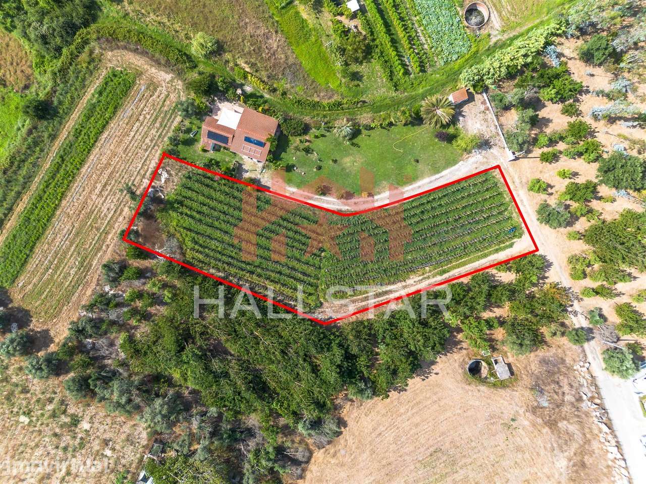 Terreno para construção / Área de 1848m² / Souto da Carpalhosa - Grande imagem: 5/14