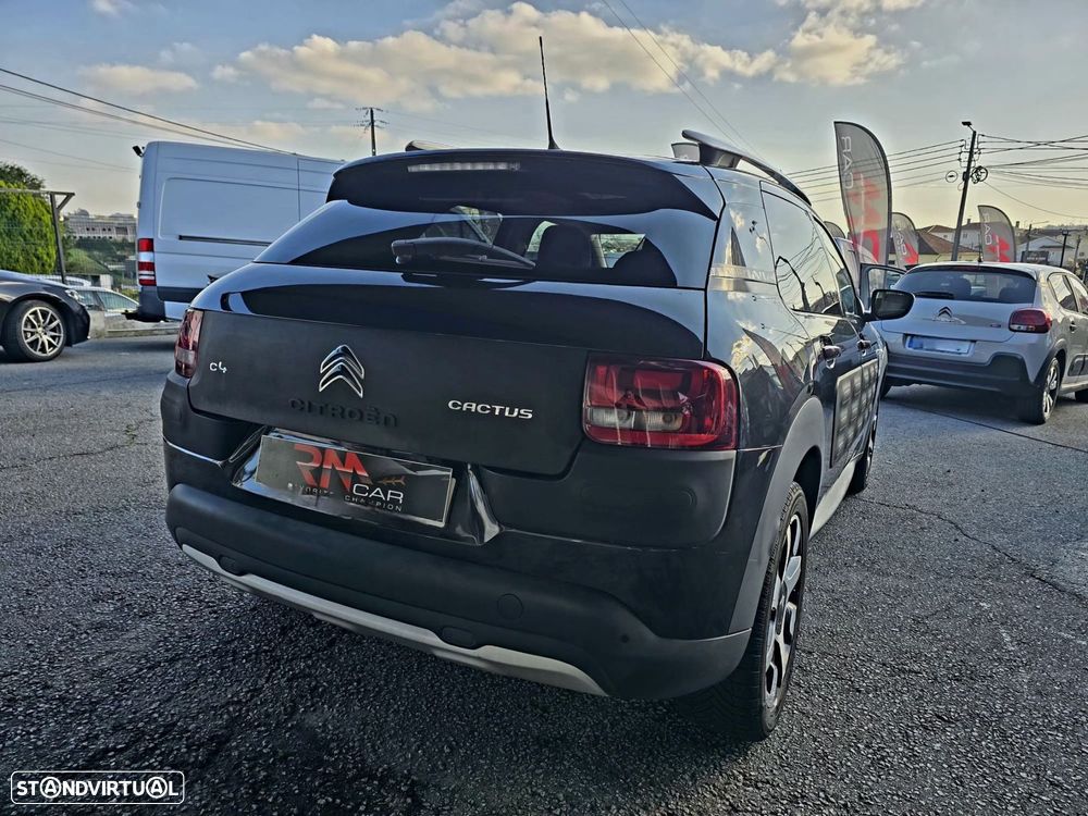 Citroën C4 Cactus 1.6 BlueHDi Rip Curl - 15