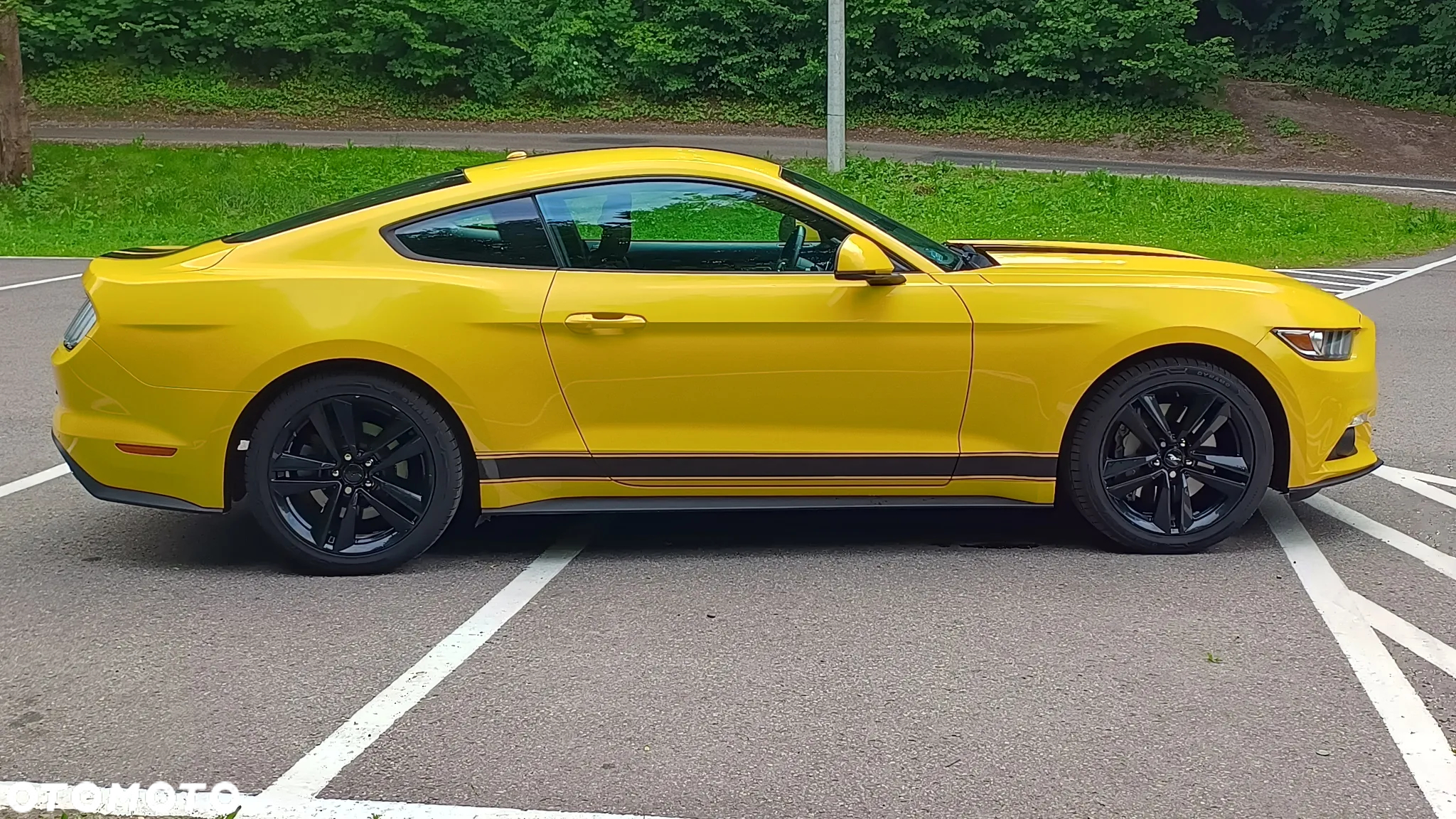 Ford Mustang 2.3 EcoBoost - 10