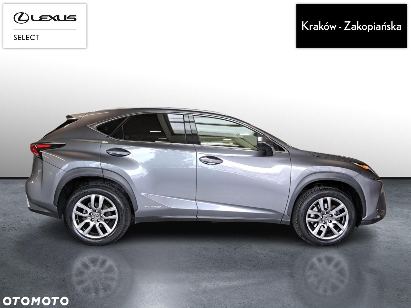 Lexus NX - 6
