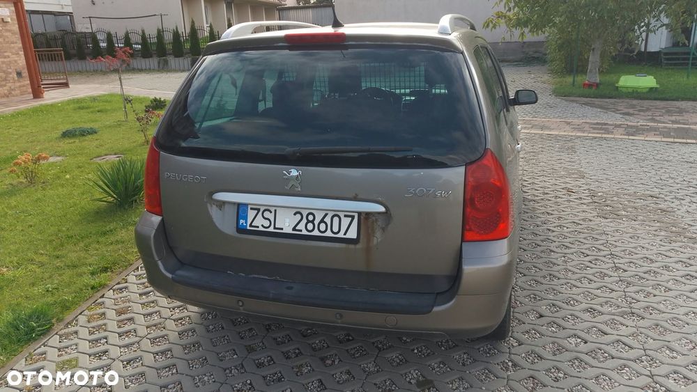 Peugeot 307 2006 photo 2