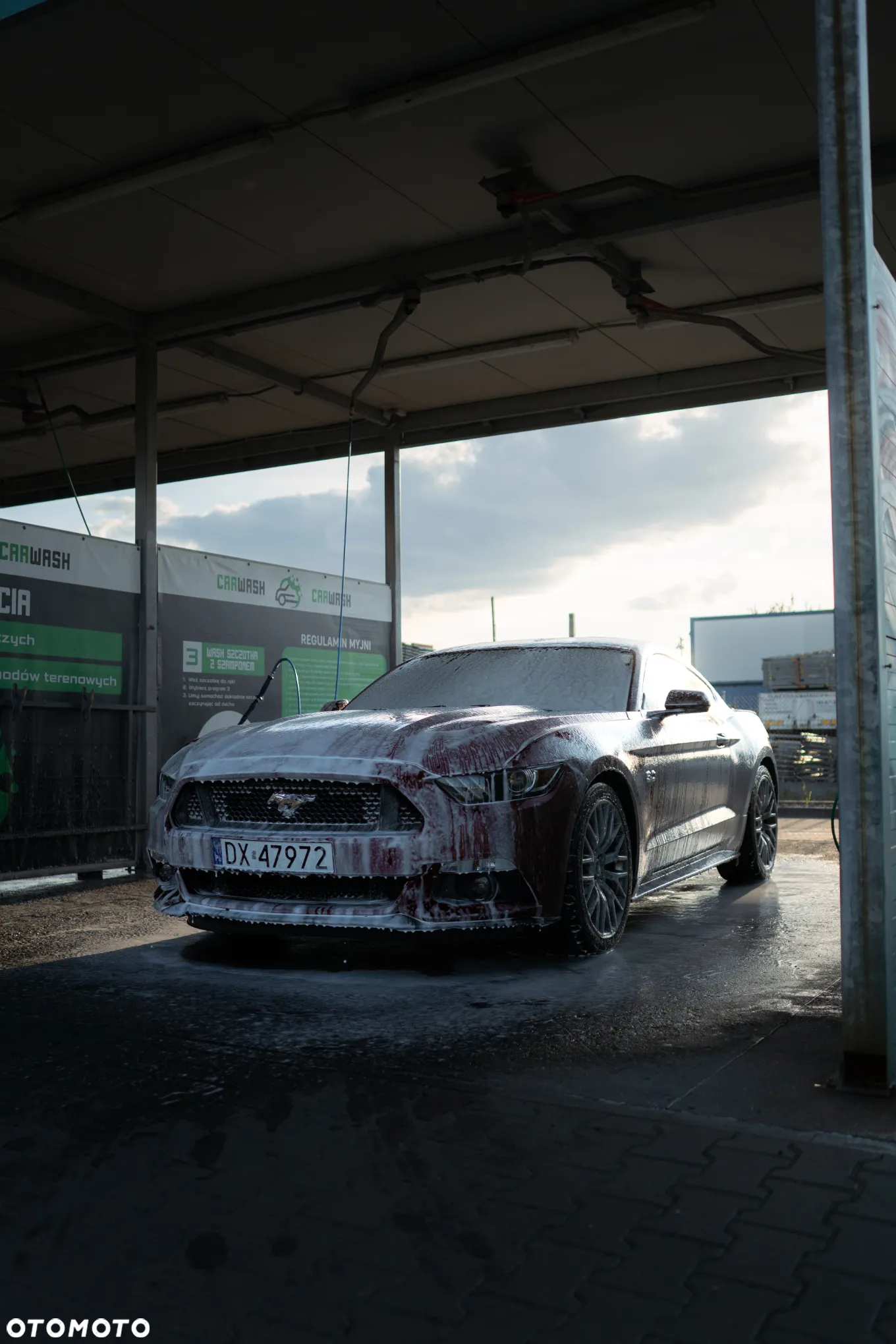 Ford Mustang 5.0 V8 GT - 9