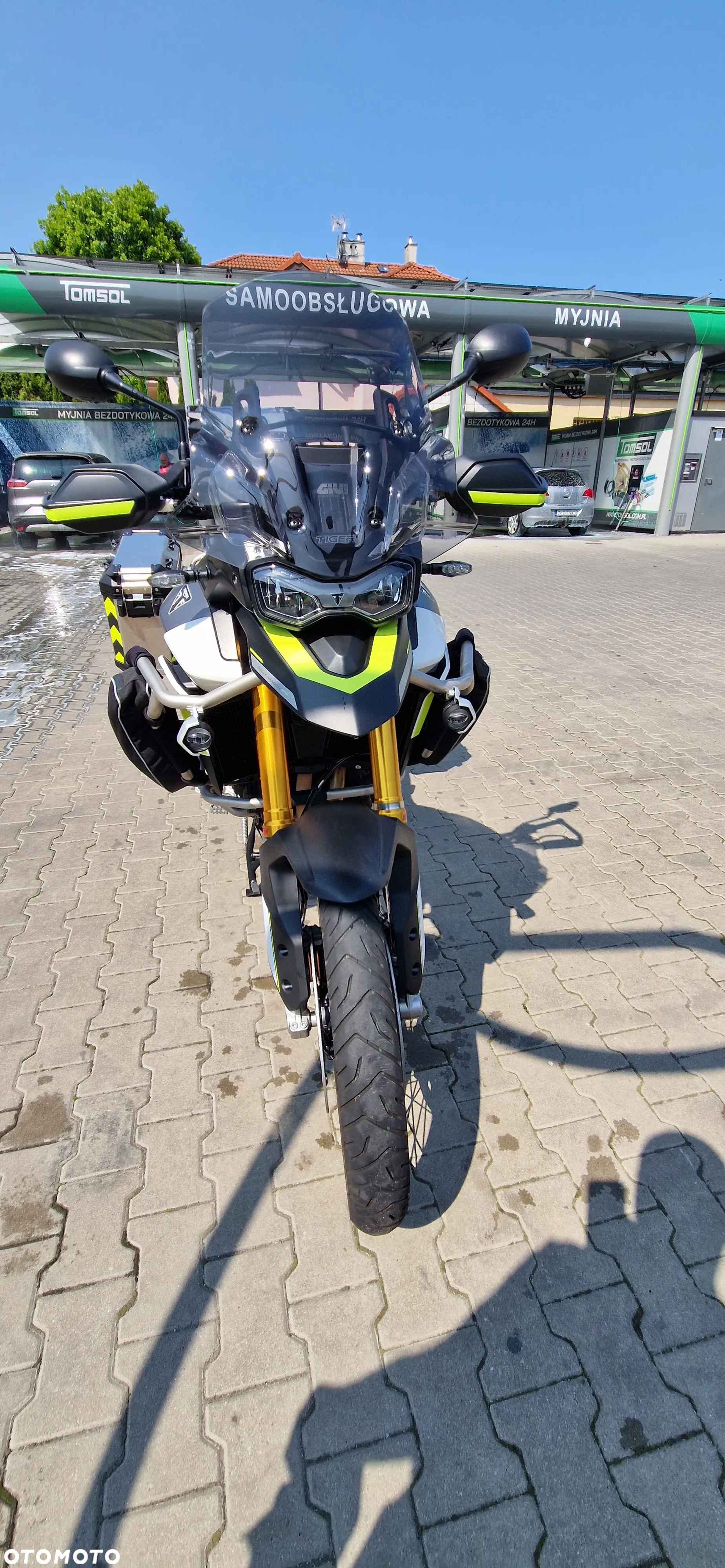 Triumph Tiger - 13