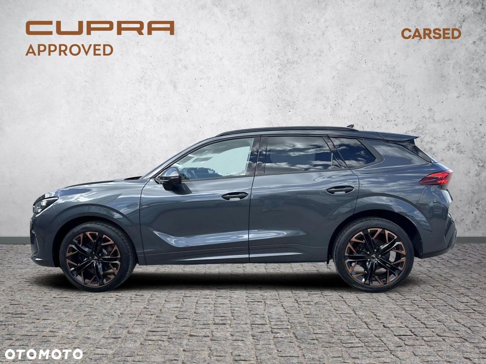 Cupra Terramar 2.0 TSI 4Drive VZ DSG - 3