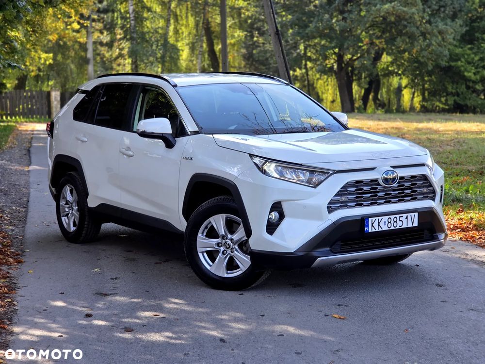 Toyota RAV4 2.5 Hybrid Active 4x2 - 22