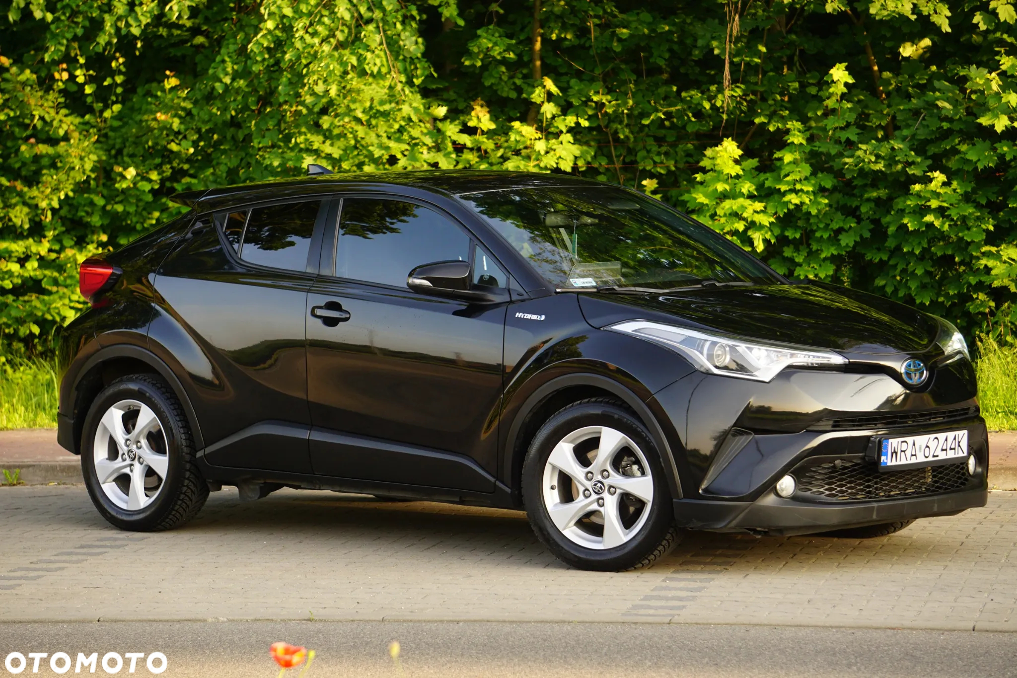 Toyota C-HR 1.8 Hybrid Executive - 10