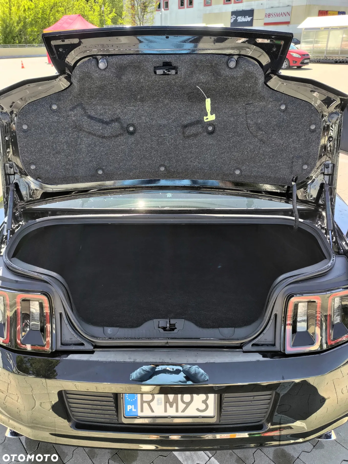 Ford Mustang 5.0 Ti-VCT V8 GT - 28