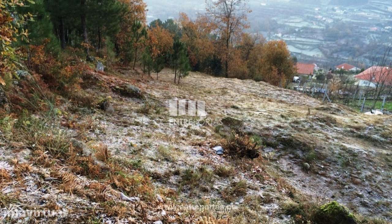 Venda Terreno Santiago de Piães, Cinfães - Grande imagem: 3/28