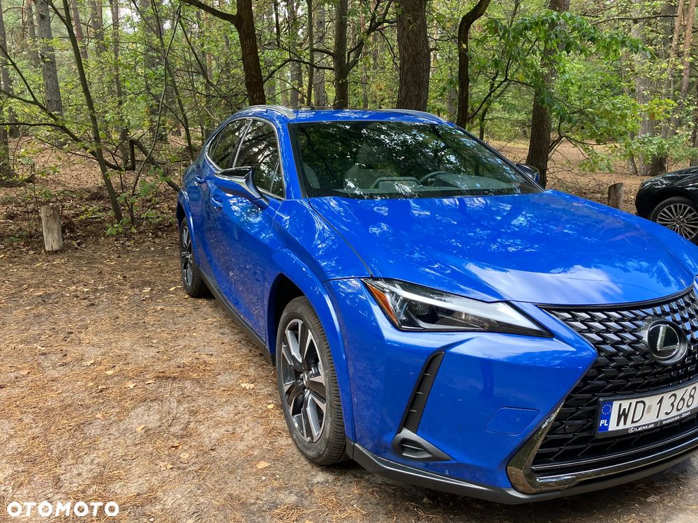 Lexus UX 300h - 25