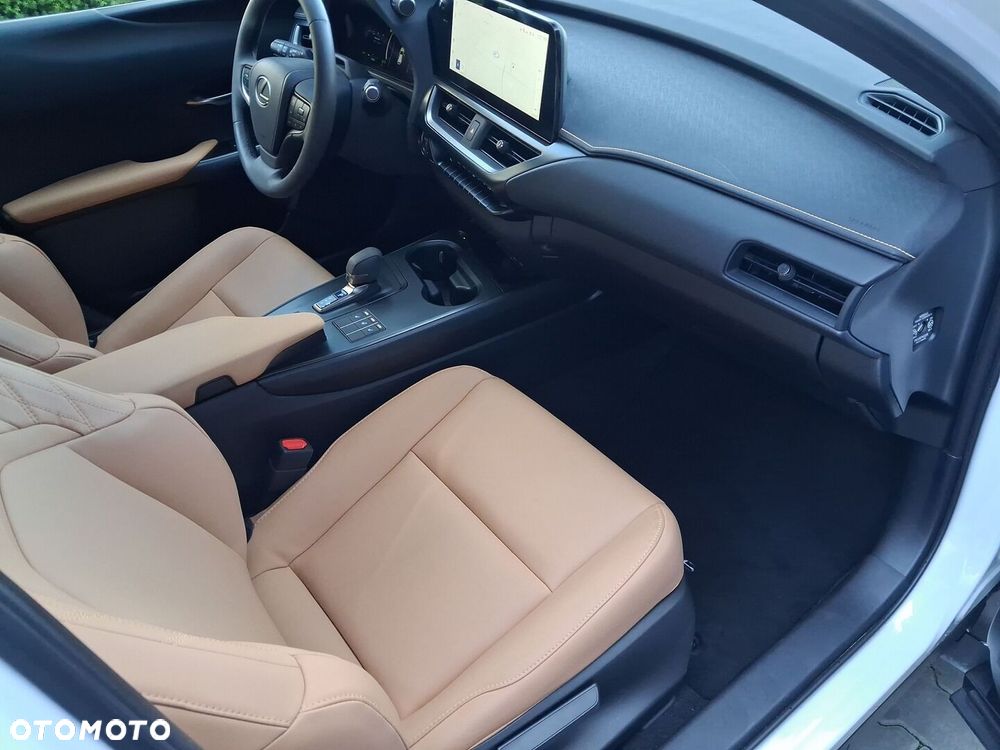 Lexus UX 300h F Sport Design - 22