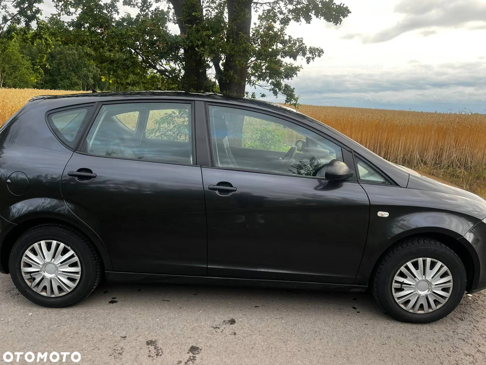 Seat Altea - 3