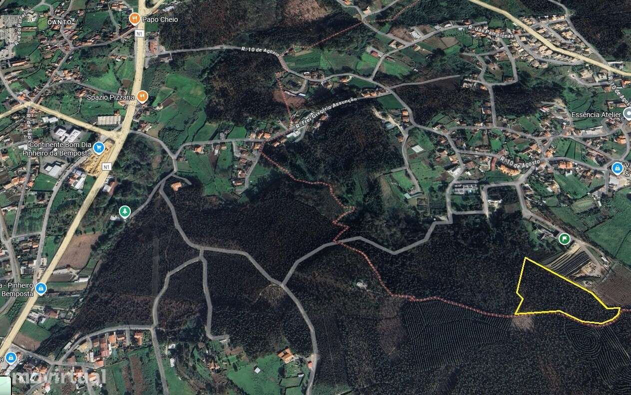 Terreno Rústico com 15.536,9m² em Pinheiro da Bemposta OAZ - Grande imagem: 3/3