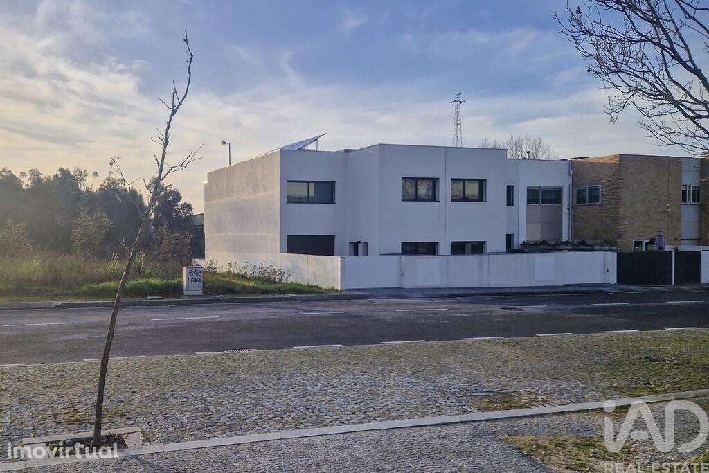 Terreno em Nogueira e Silva Escura - Grande imagem: 3/8