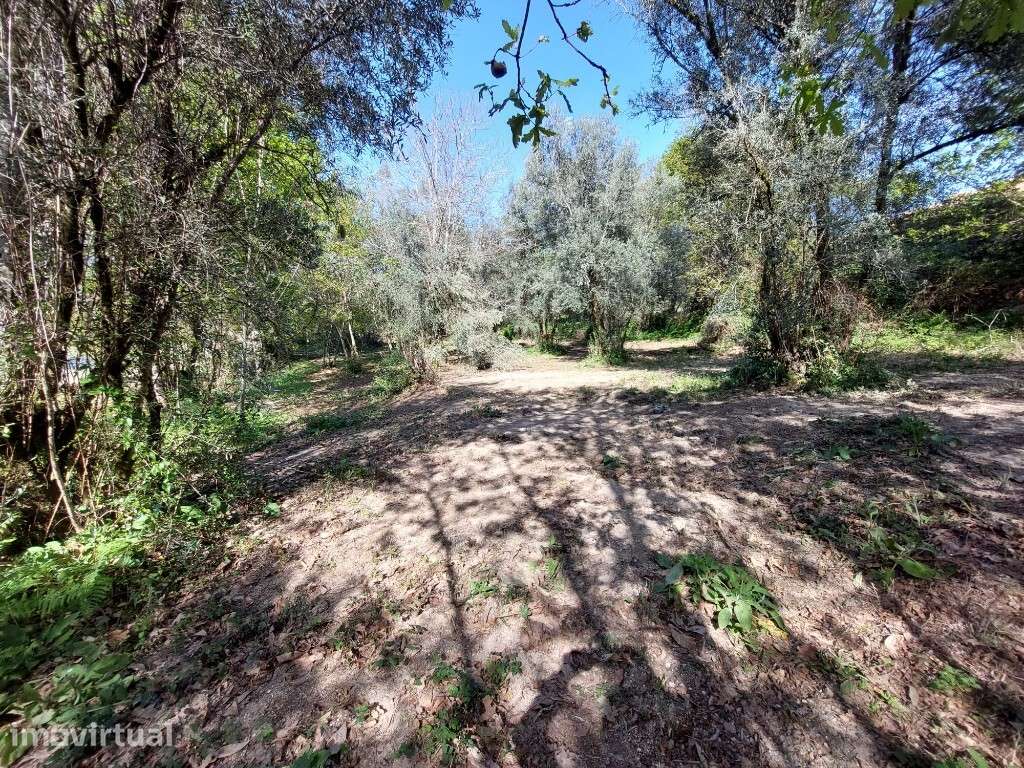Terreno Agricola - Caldelas - Grande imagem: 2/5