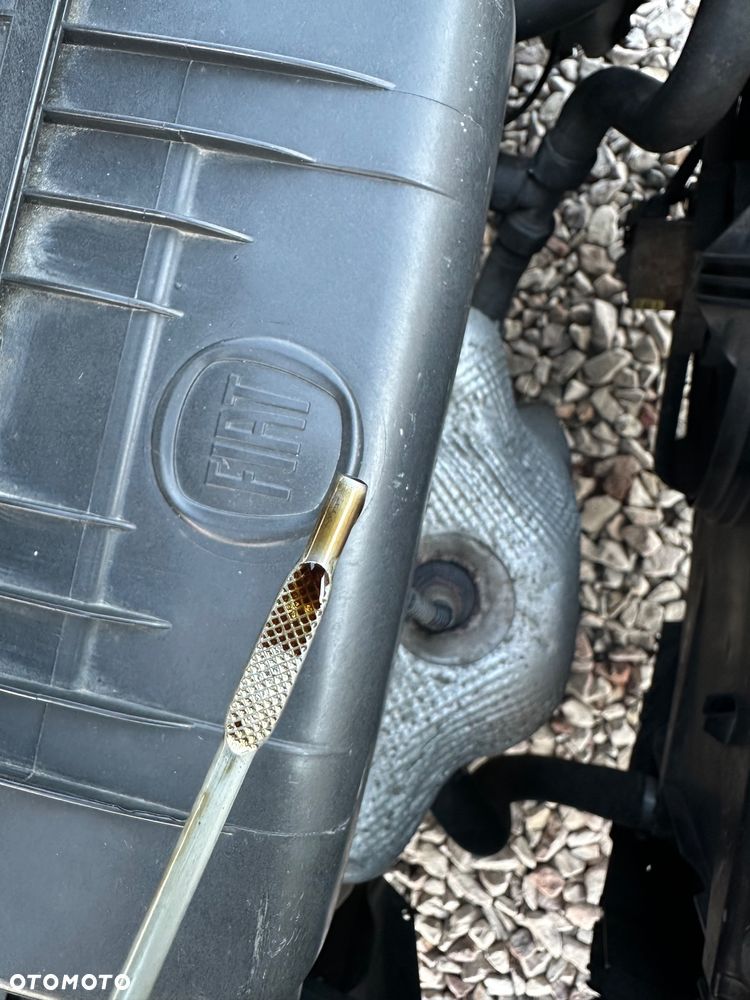 Fiat Punto - 23