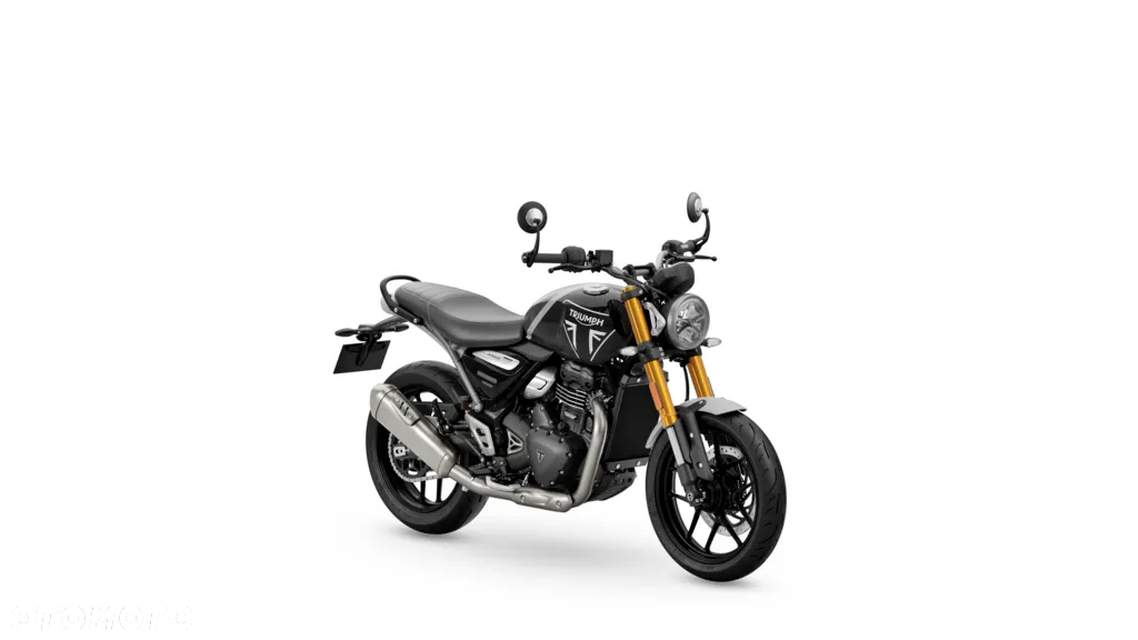 Triumph Inny - 15