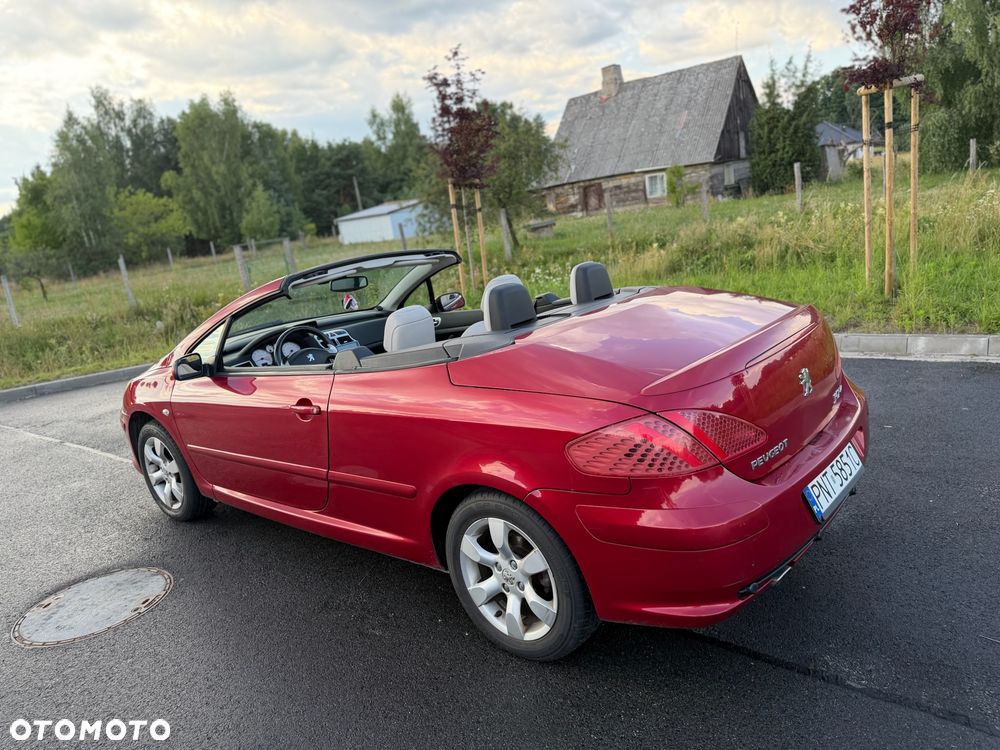 Peugeot 307 - 21