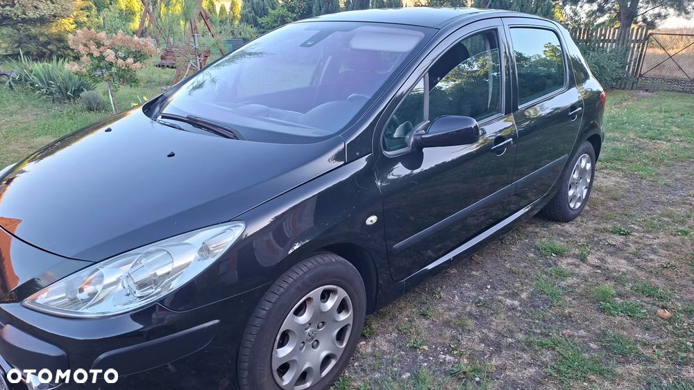 Peugeot 307 1.6 D-sign - 3