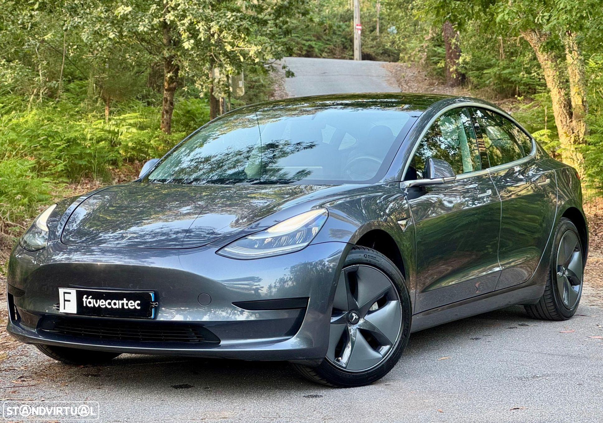 Tesla Model 3 Standard Range Plus RWD - 13
