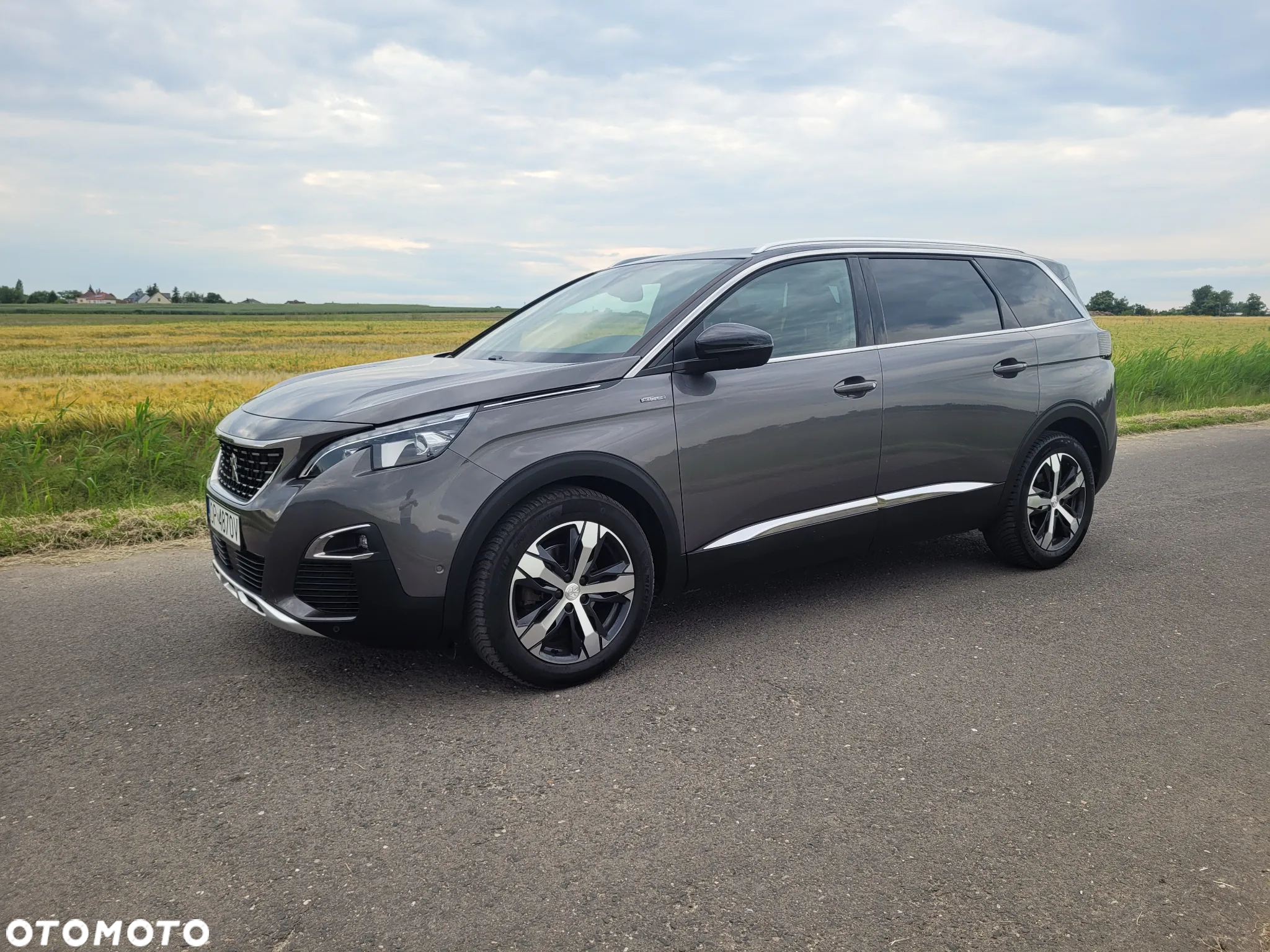 Peugeot 5008 - 31