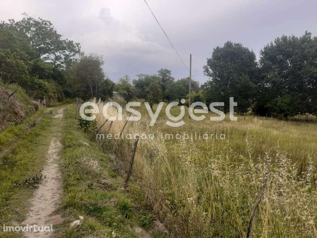 Fantástico Terreno com, localizado na freguesia de Castelões - Grande imagem: 3/17